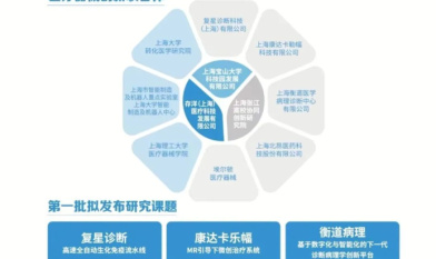 宝山探索创新联合体新模式，共促科技成果转化